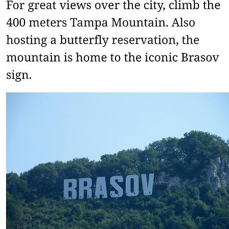 Maya'S Apartament Brasov Lejlighed Eksteriør billede